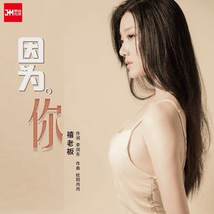 因为你伴奏（DJ版）