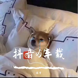 金总-渴死的鱼 车载dj(1)（林宇 remix）