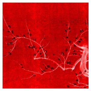 TOP 5 (feat. Racky Slatt, Jsammy, Michael Stone & Teegna)