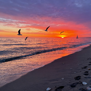 轻音乐（治愈）舒缓钢琴曲｜夜风和缓