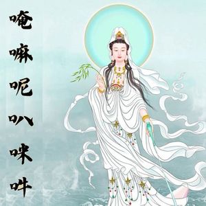 杨丽伟-嗡嘛呢叭咪吽（杨丽伟 remix）