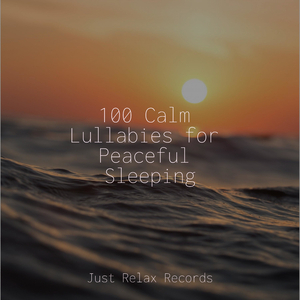 Dragonfly's Dusk Dance