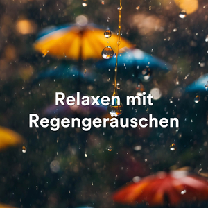 Petrichor: Der Duft des Regens auf Asphalt