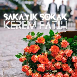 Şakayık Sokak