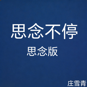 思念不停 思念版 (纯音乐版)