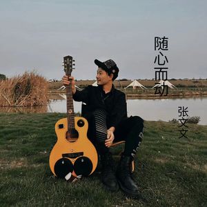 随心而动-张文文