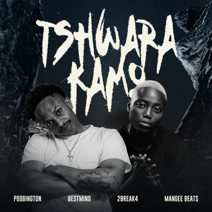Tshwara Kamo