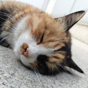 那是第一次见你demo