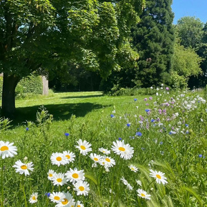 The moment I met you