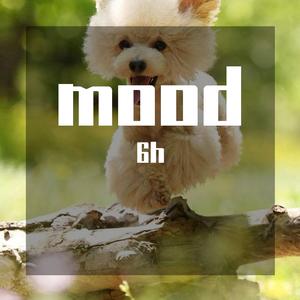 mood（坐上我的副驾）(1)