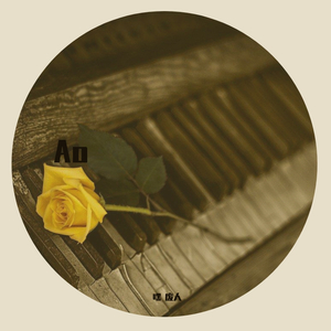 下一个黎明和希望相遇