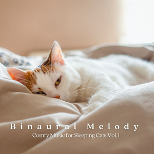 40 Hz Frequency Vibrations