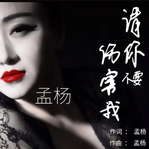 请你不要伤害我 (DJ阿阳)