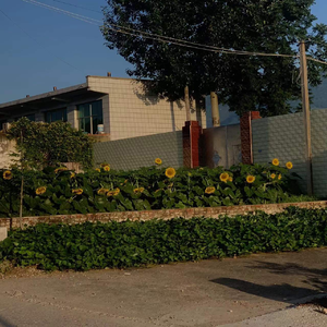 就让暗恋结束在这个夏天（Prod by 24T）