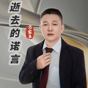 逝去的诺言（伴奏）