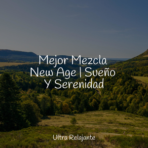 Pausas De Descanso