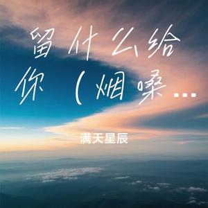 留什么给你（烟嗓男版）