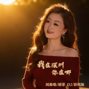 我在深圳你在哪（DJ彭锐版）