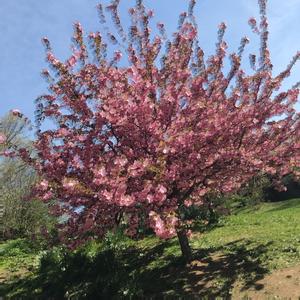 sean kingston type beat