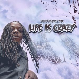 Life Is Crazy