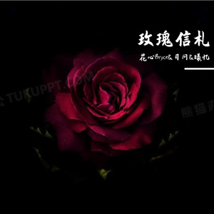 玫瑰信札