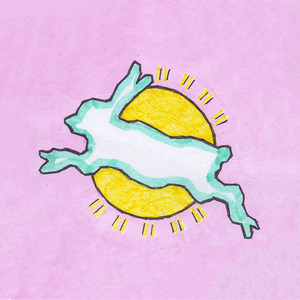 Солнечный зайчик