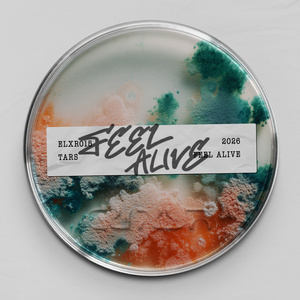 Feel Alive