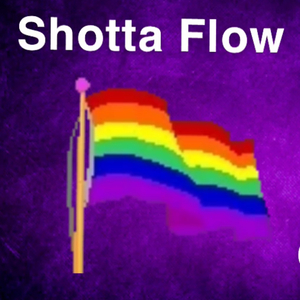 Shotta Flow Gay