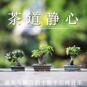 茶道静心 品茶与雅致