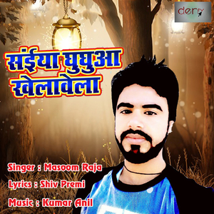 Bhatar Sala Aawat Naikhe