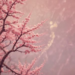 星轨告白
