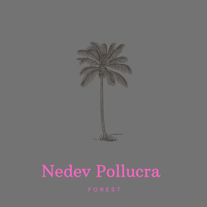 Forest (Radio Edit)