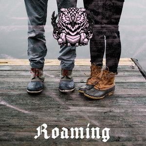 Roaming