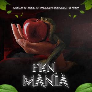 Fkn Mania (feat. Bca, Italian Somali & T.O.T)