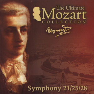 Symphony No. 25 in G Minor, K. 183: II. Andante
