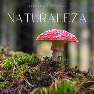 Ambiente De Naturaleza