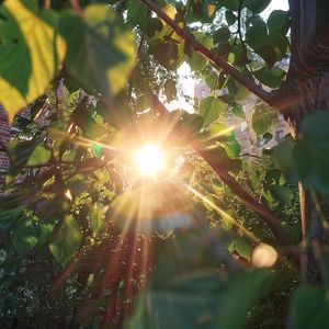 有这样一个女孩