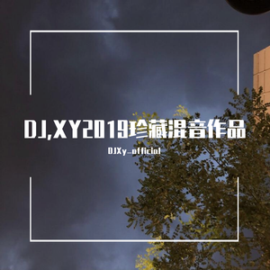 Nicoleta Matei-Love mail（DJXy_official remix）