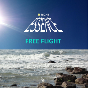 Free Flight
