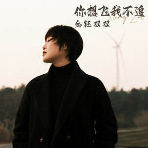 你想飞我不追