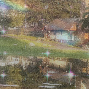 how the trees look in the sunlight in the distance