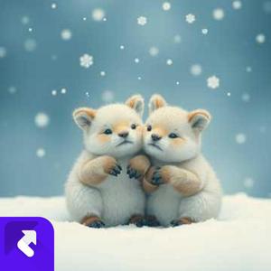 这个冬天暖暖的