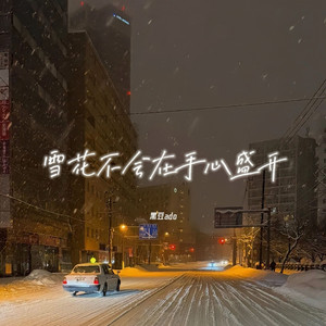 雪花不会在手心盛开