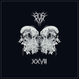 помнишь (Борис Рыжий)