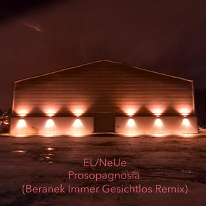 Prosopagnosia (Beranek Immer Gesichtlos Remix)