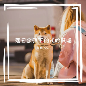 落叶舞出的思念