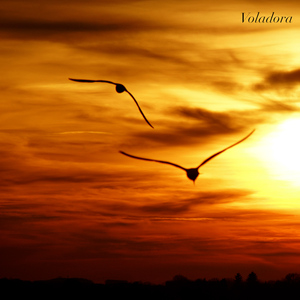 Voladora