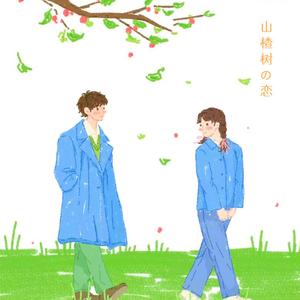 山楂树の恋 (山楂树之恋DJ阿能版)