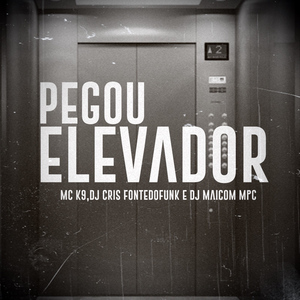 Pegou o Elevador