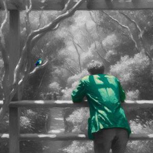 Whippoorwill (Acoustic Version)